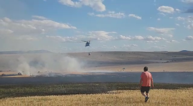 El fuego arrasa 8 hectáreas en Noviercas