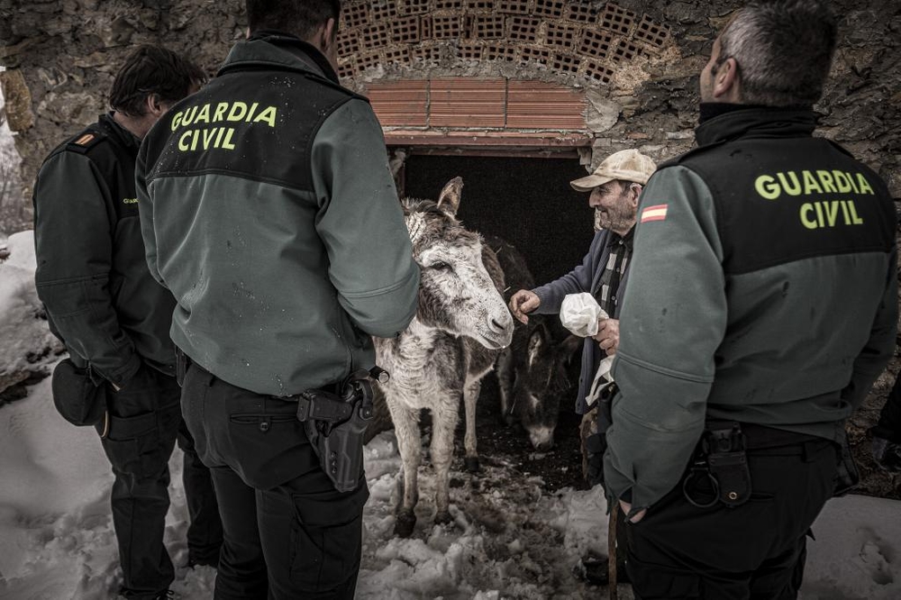 El Día de Soria