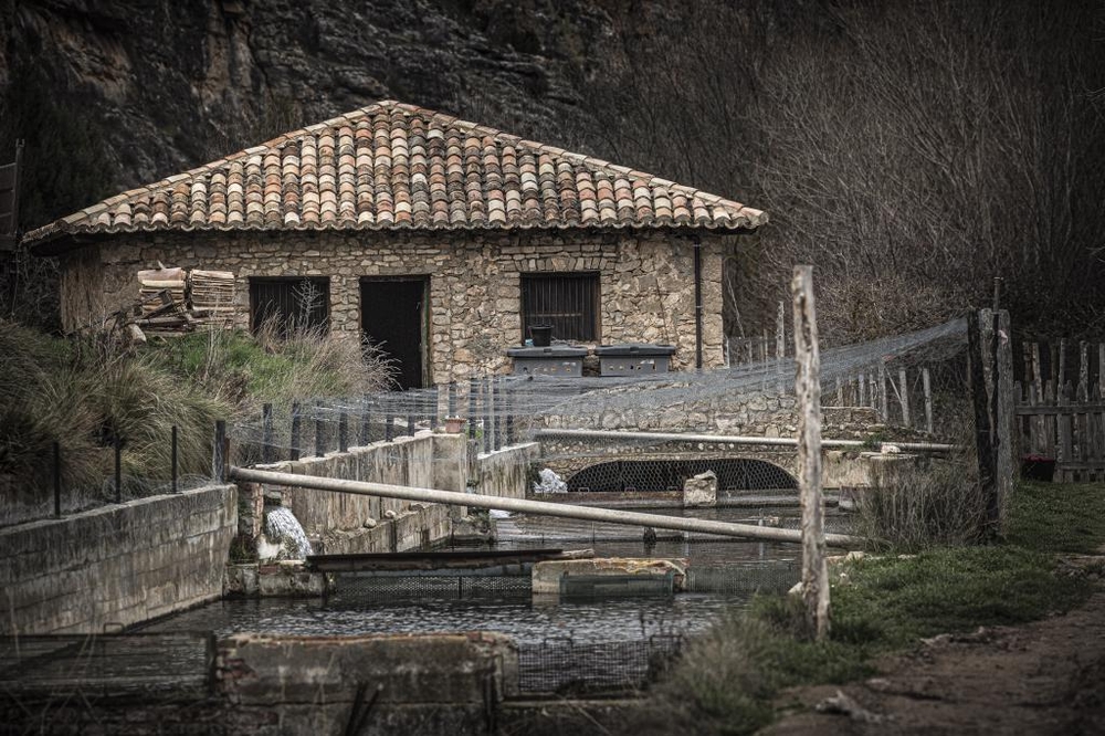 El Día de Soria