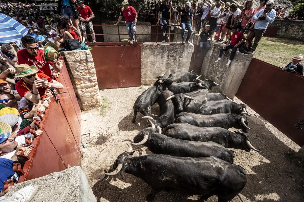 El Día de Soria