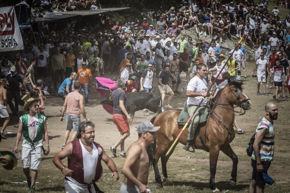 El Día de Soria