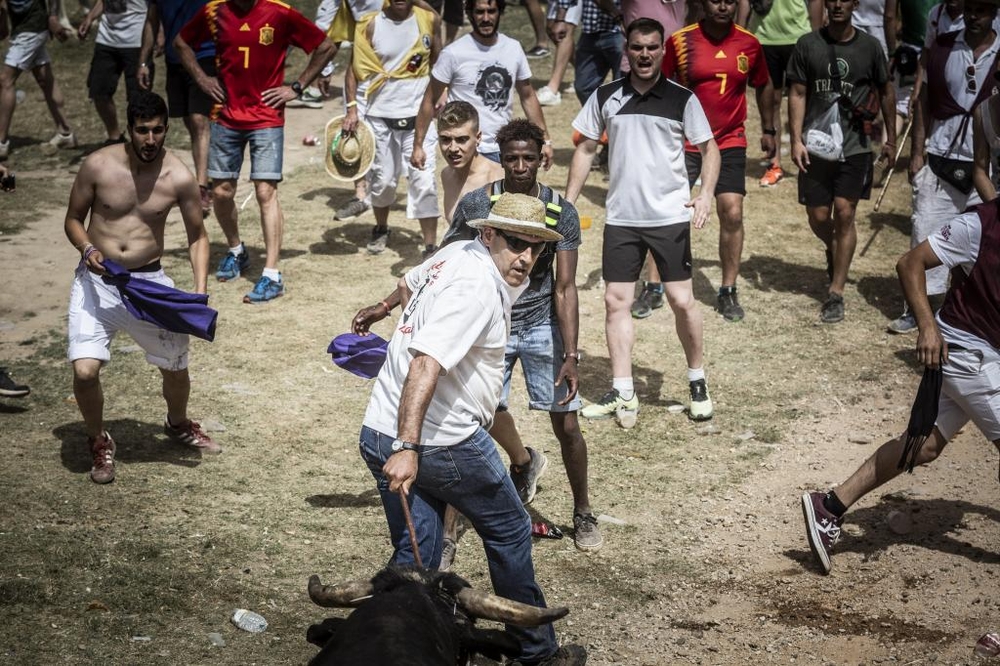 El Día de Soria