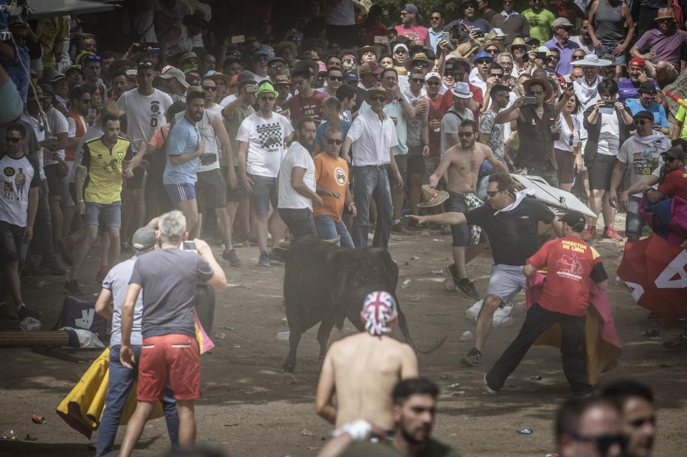 El Día de Soria