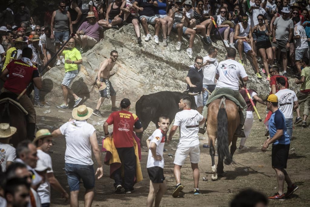 El Día de Soria