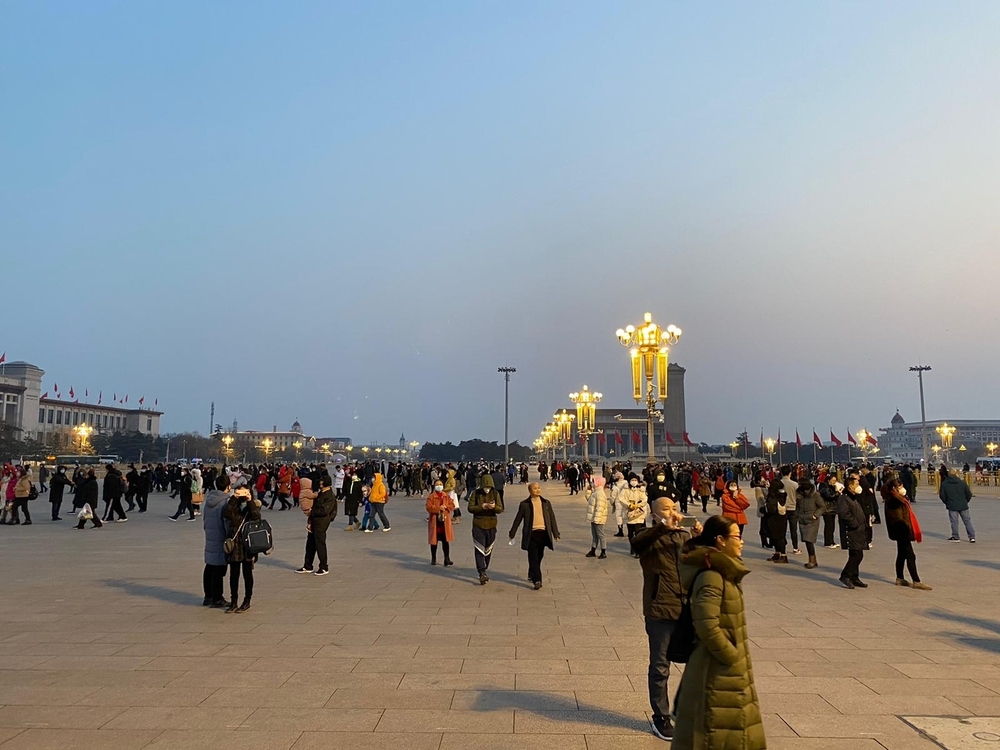 Una soriana, 14 días de cuarentena en Tianjin (China)