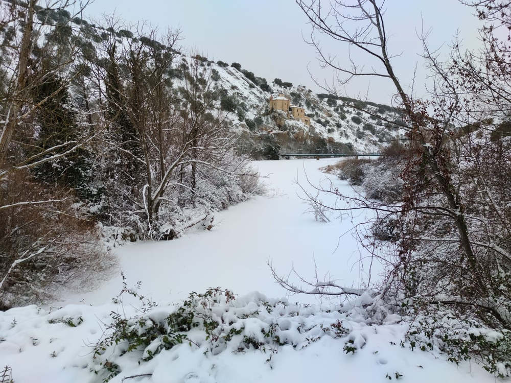 El Día de Soria