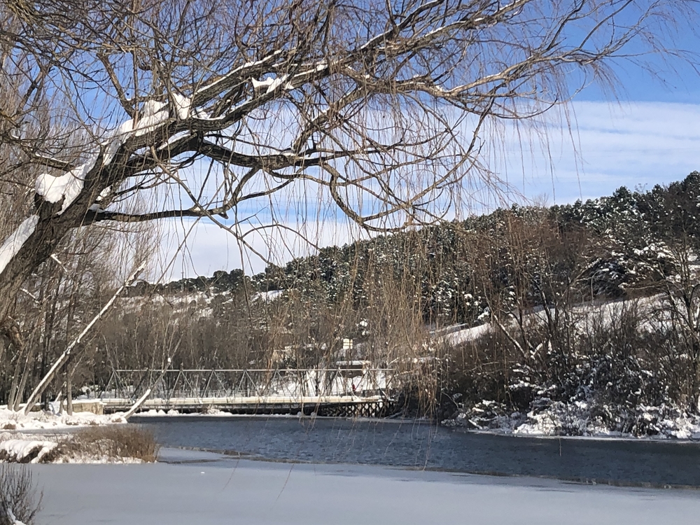 El Día de Soria