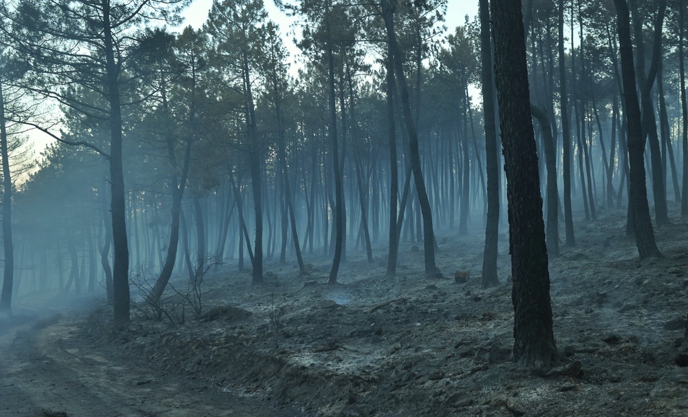 Incendio en Serradilla del Arroyo (Salamanca).
