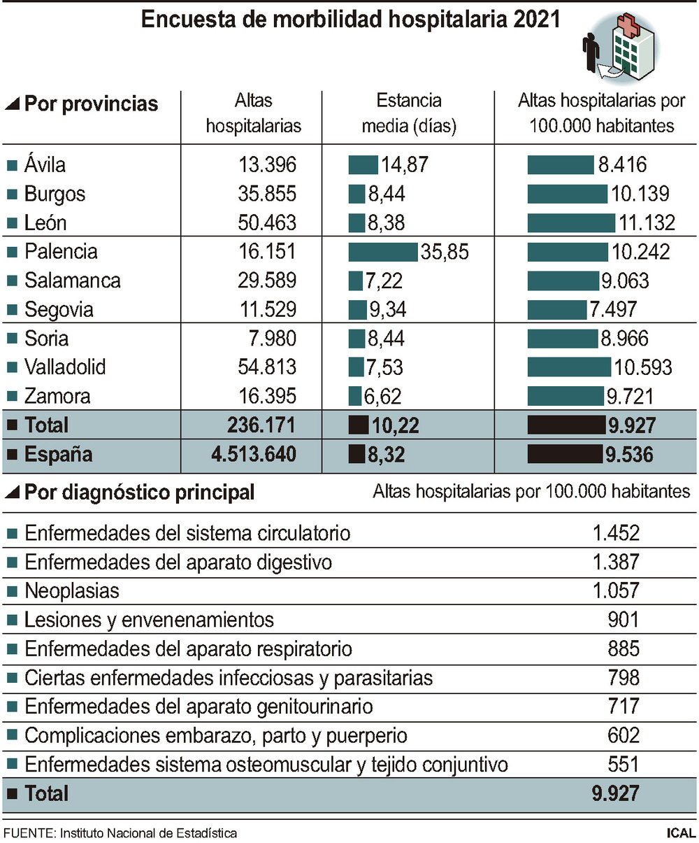 ¿Cuáles son las principales causas de las hospitalizaciones?