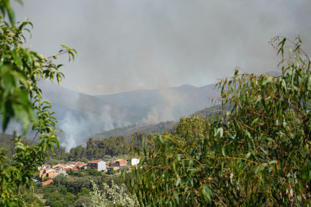 Declarado el nivel 1 de peligrosidad por un incendio en Pinofranqueado  / EDUARDO PALOMO