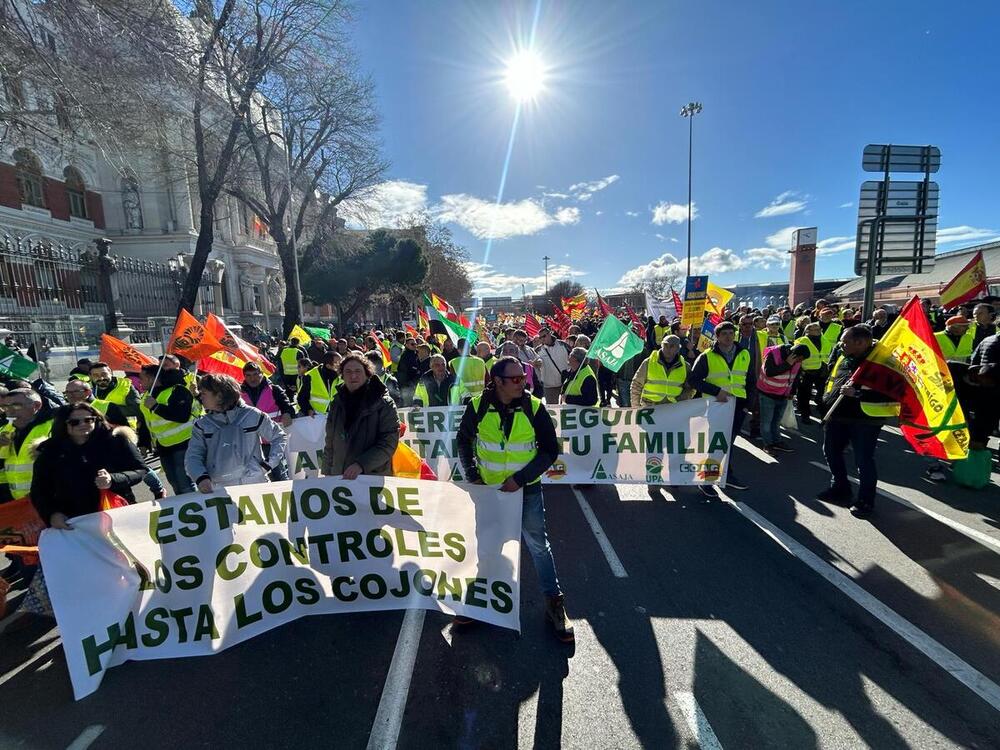 Miembros de Asaja Soria durante su participación en la manifestación celebrada esta mañana en Madrid.