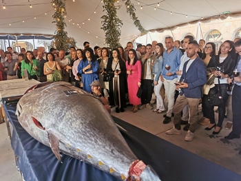 Expectación en el ronqueo de un atún rojo en Soria