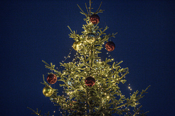 Contenedores para árboles de Navidad, desde el 5 de enero