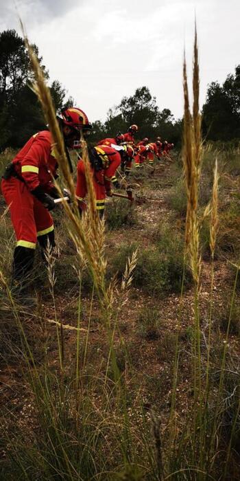 La UME se ejercita en Soria contra incendios