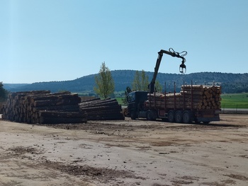 Escasez de troncos en los aserraderos de Soria