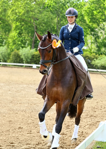 Ana Novo realizará un clinic de equitación en Cuadra Antares