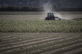 Agricultura inicia el pago del primer anticipo de la PAC