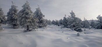 La nieve y el frío convierten a Urbión en la 'Laponia del sur'