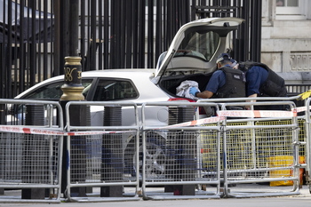 Un coche se estrella contra las puertas de Downing Street