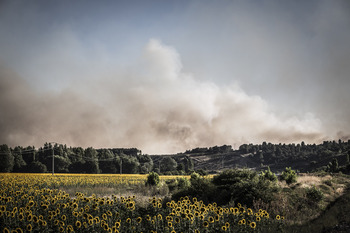 Prolongan el riesgo alto de incendios forestales en Soria