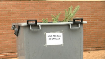 La Navidad se acaba, pero el árbol en Soria se puede reciclar