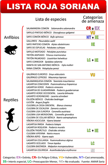 AMAR publica la lista roja de reptiles y anfibios de Soria