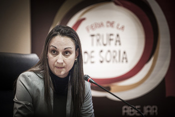 El PSOE mantiene Abejar, donde irrumpe Vox como segunda fuerza
