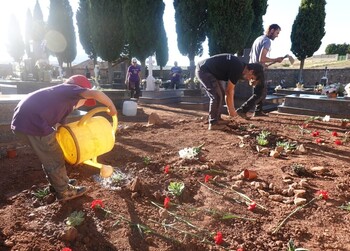 Concluye la exhumación en el cementerio de Las Casas