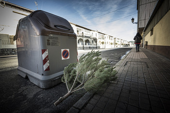El Consistorio pone los contenedores para árboles de Navidad