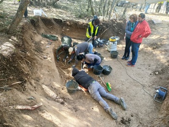 Encuentran cuatro cuerpos en la exhumación de Adradas